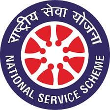 NSS Logo Image